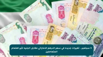 3 سبتمبر.. تغيرات جديدة في سعر الدرهم الإماراتي مقابل الجنيه تثير اهتمام المتعاملين